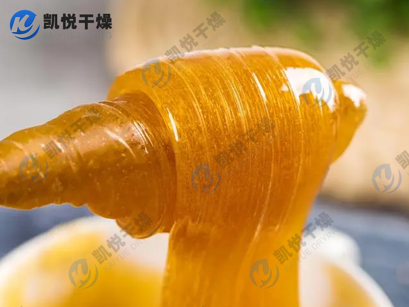 麥芽糖流化床枯燥機(山東XX生物)